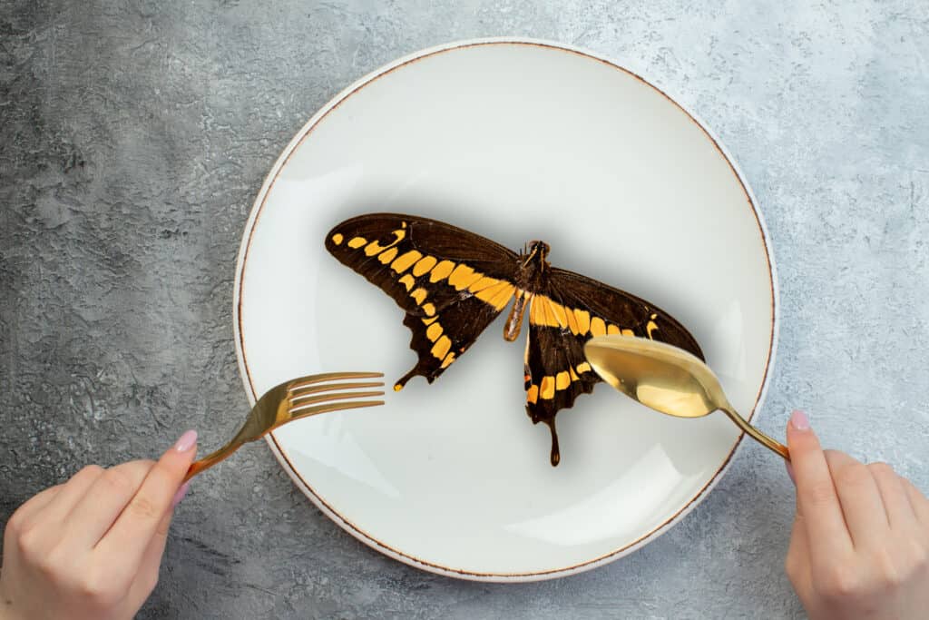 Can You Eat Butterfly? The Unbelievable Truth 1 Can You Eat Butterfly
