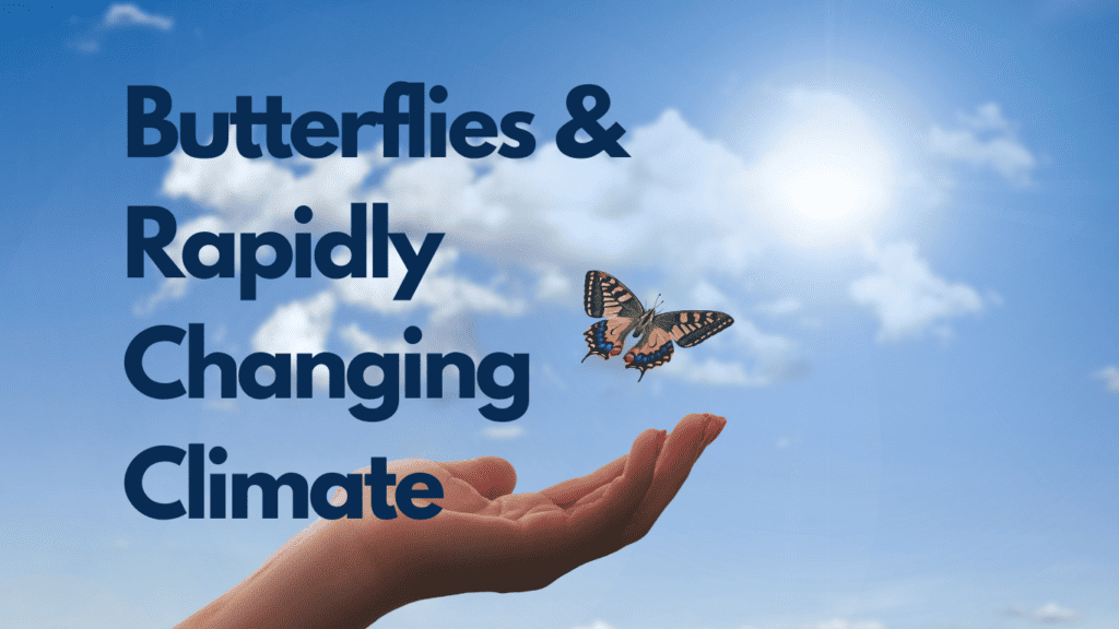 Butterflies and Climate Change: How Do They Easily Adapt in 3 ways? 1 Butterflies and Rapidly Changing Climate